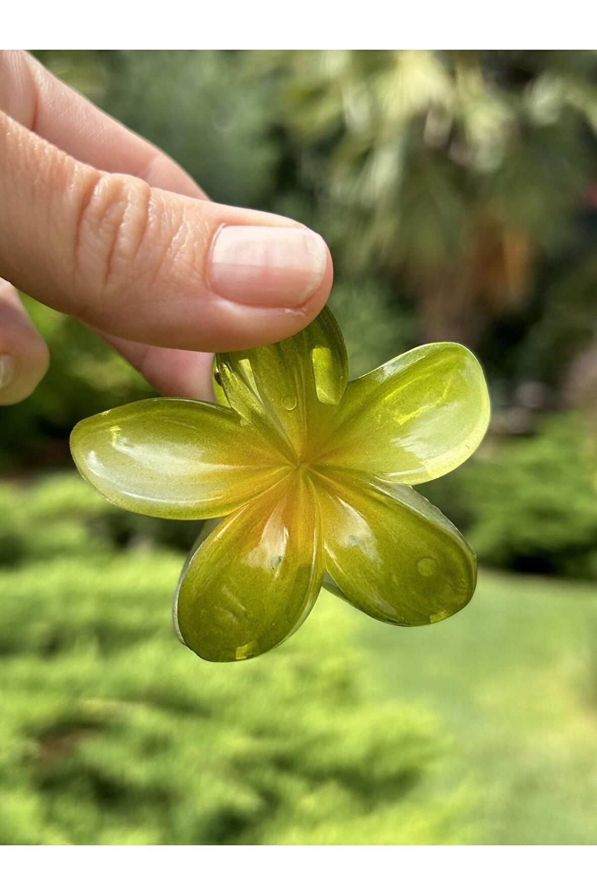 Çiçek Toka Orta Boy Hibisküs