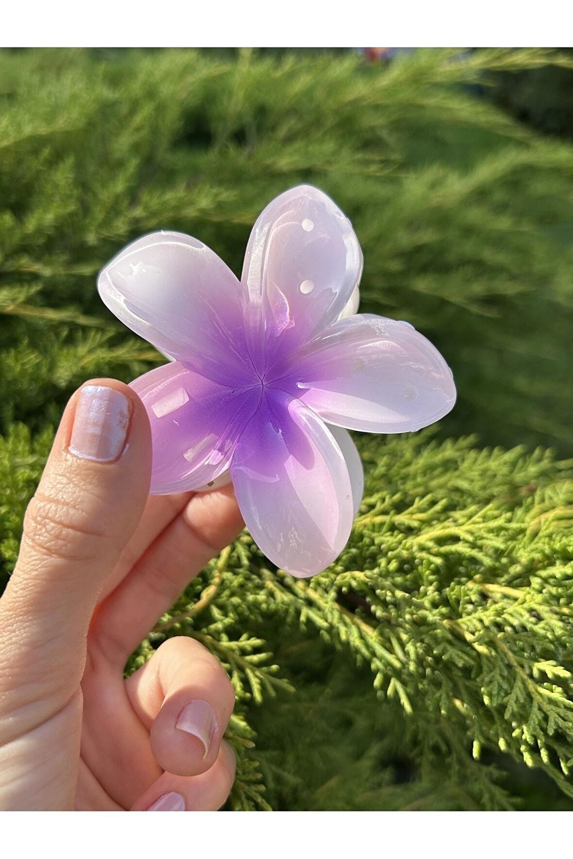 Açık Mor Çiçek Hibisküs Büyük Boy Mandal Toka