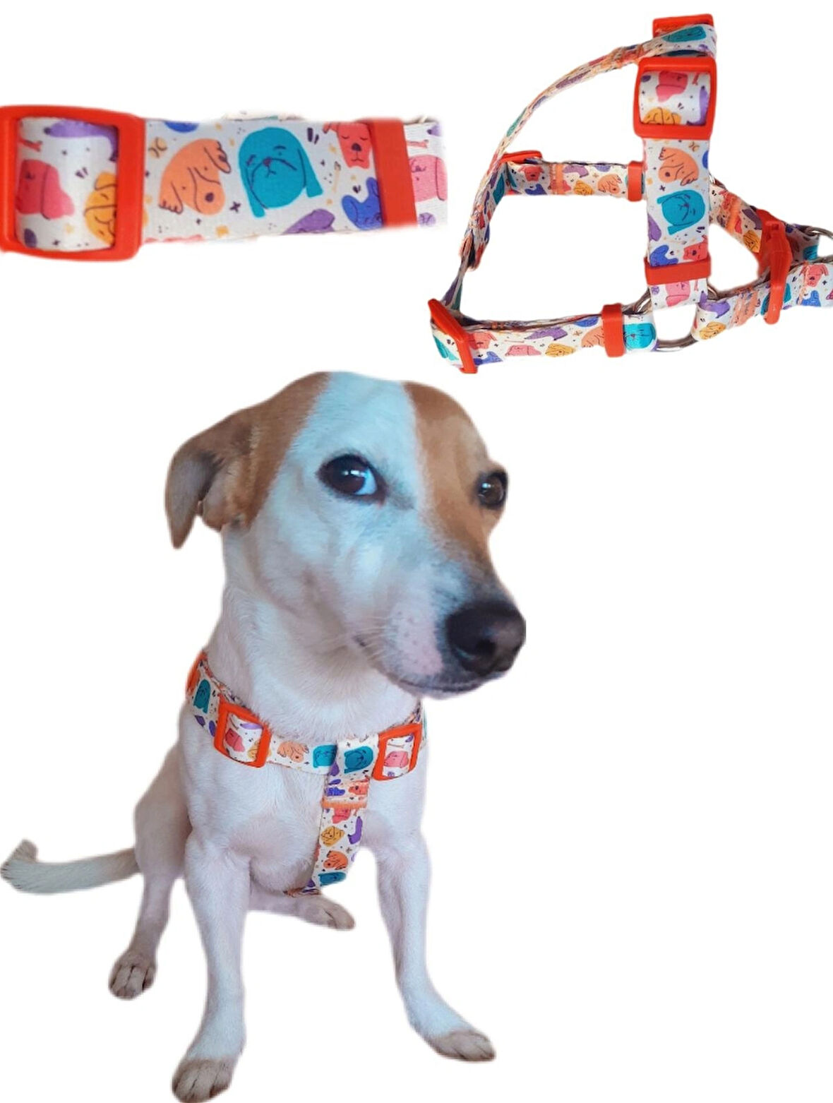 MiaBona Colorful Dogs Model Dijital Baskılı, Renkli Köpek Desenli Göğüs Tasması Harness