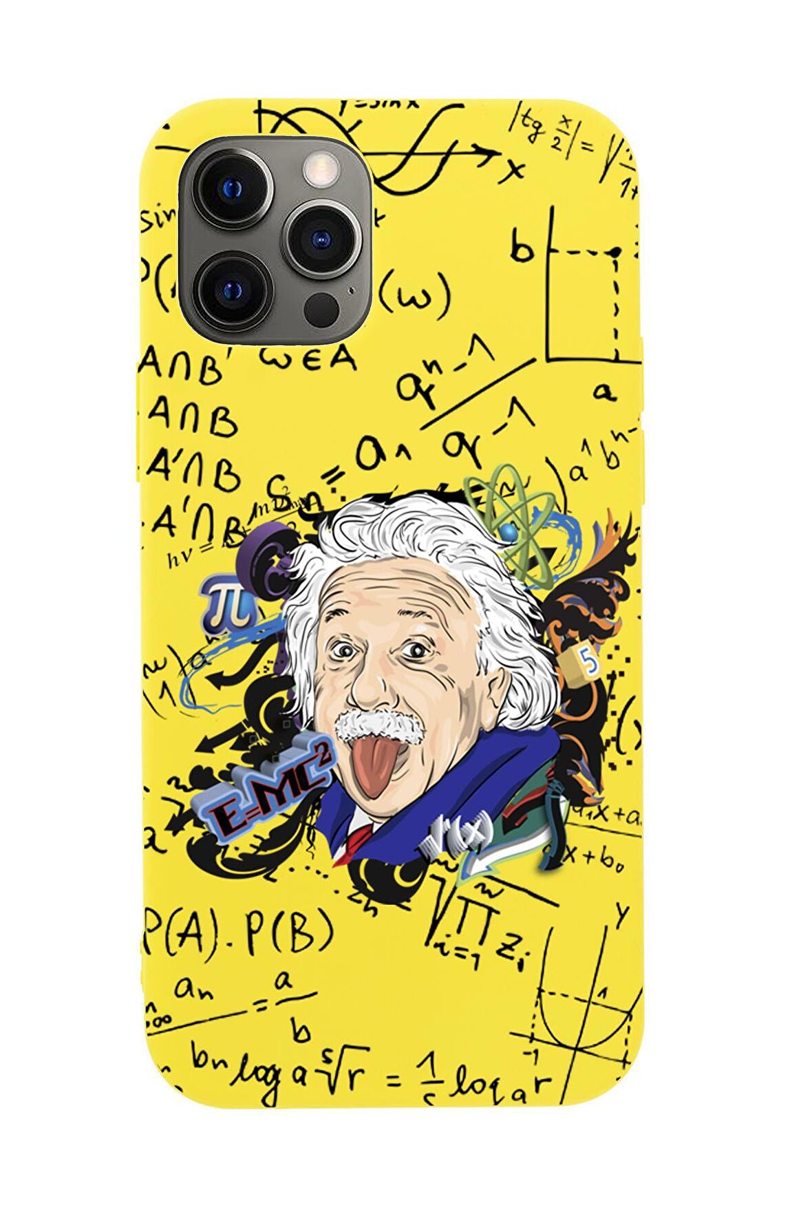 iPhone 12 Pro Max Einstein In Formula Desenli Premium Silikonlu Telefon Kılıfı