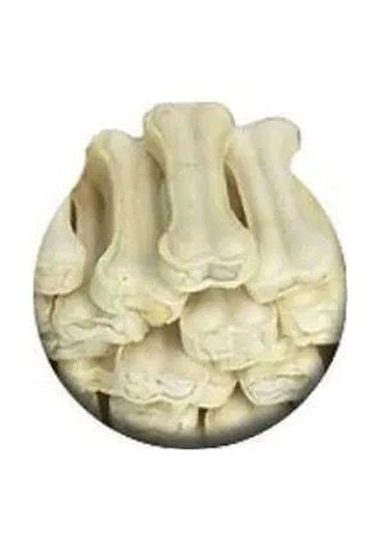 Beyaz Press Kemik 7-8 Cm 5 Adet