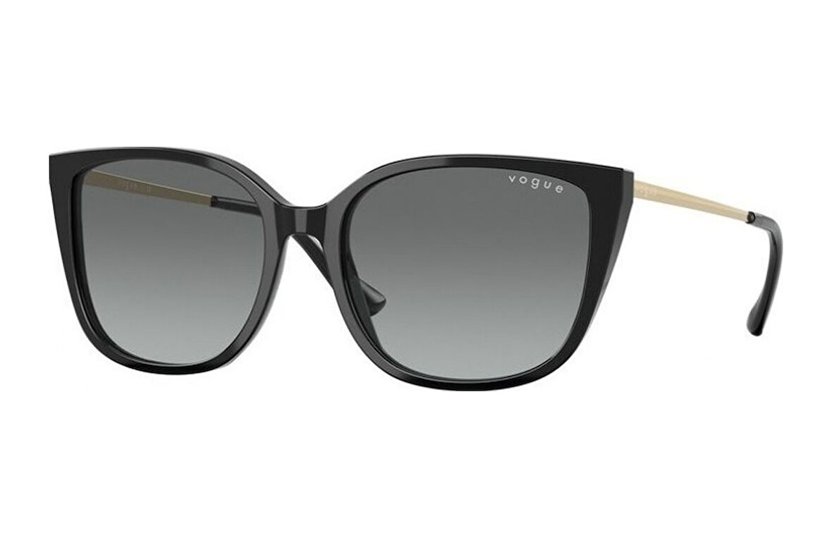 Vogue VO5435-SI W44/11Kadın Güneş Gözlüğü