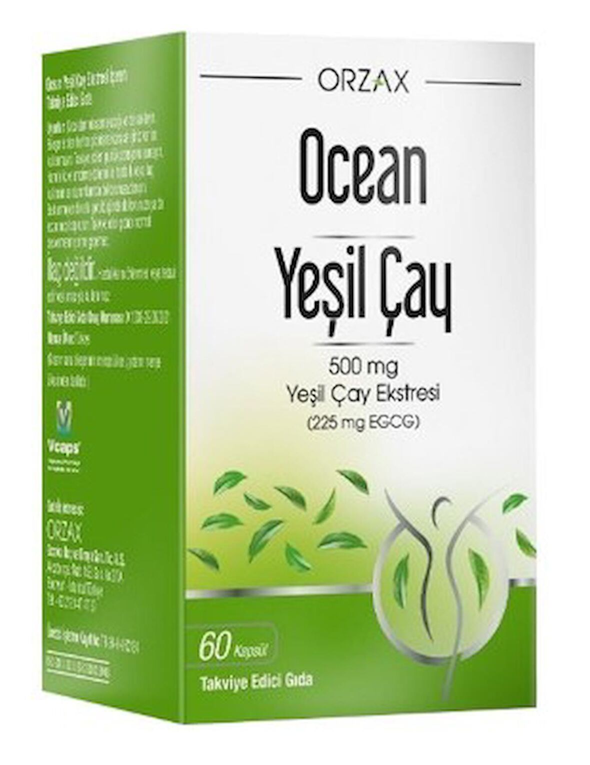 Ocean Yeşil Çay Ekstresi 60 Kapsül