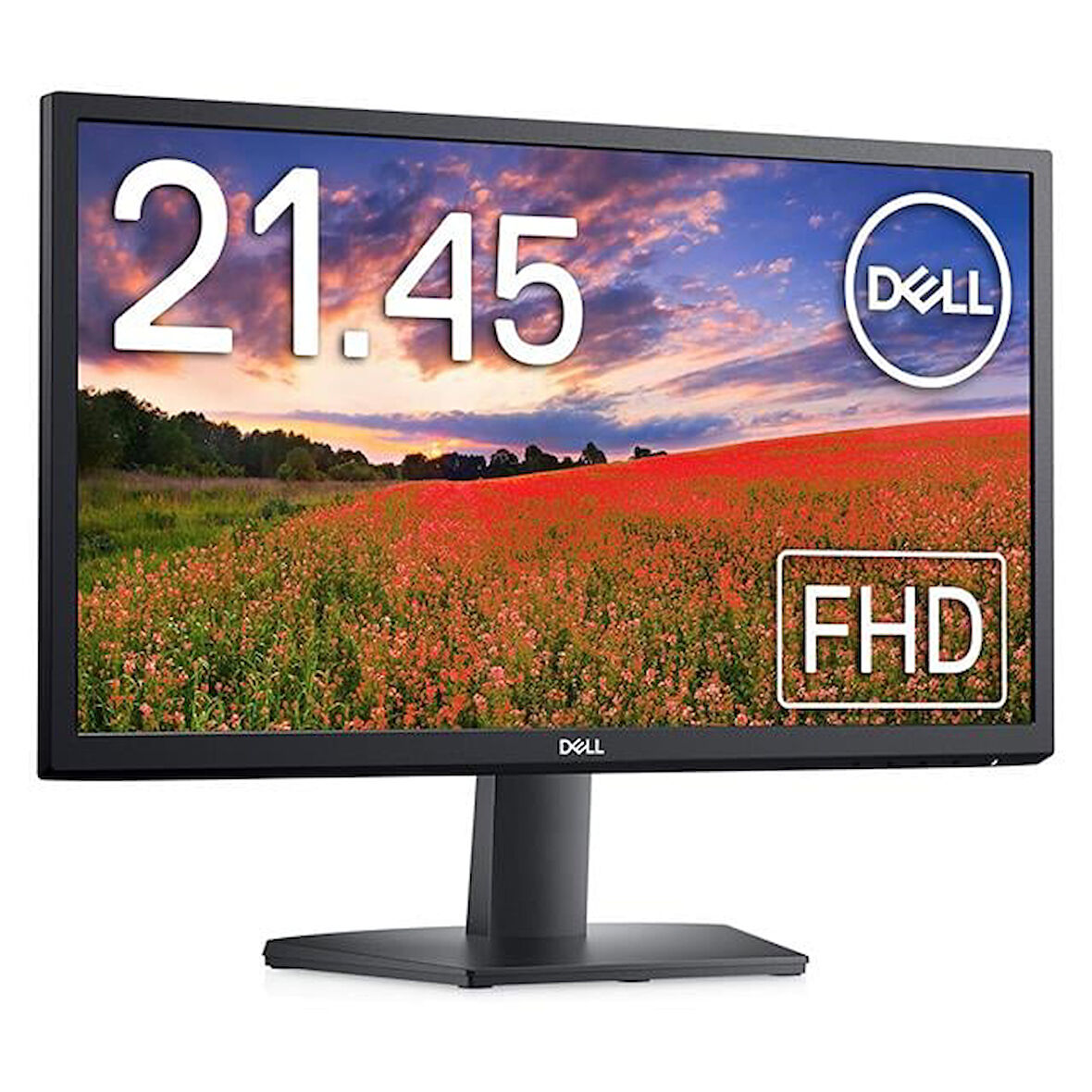 Dell SE2222H 21.5" 8 MS 60 Hz Full HD VA LED Monitör