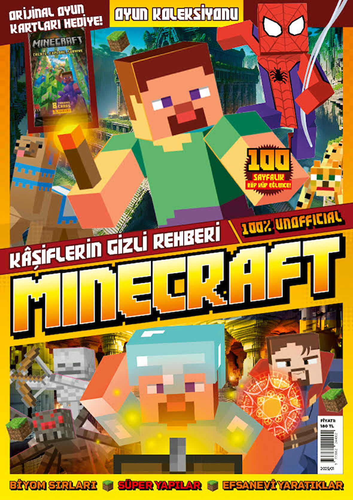 Minecraft 2025/01
