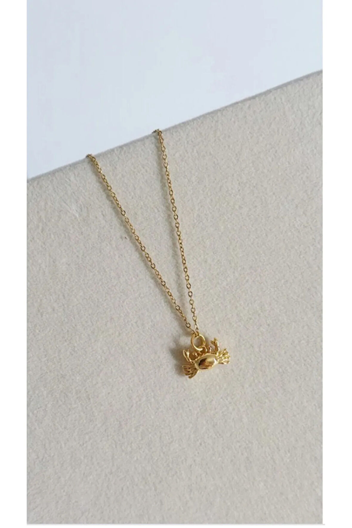 Bay Yengeç Çelik Yaz Kolyesi Kararmaz