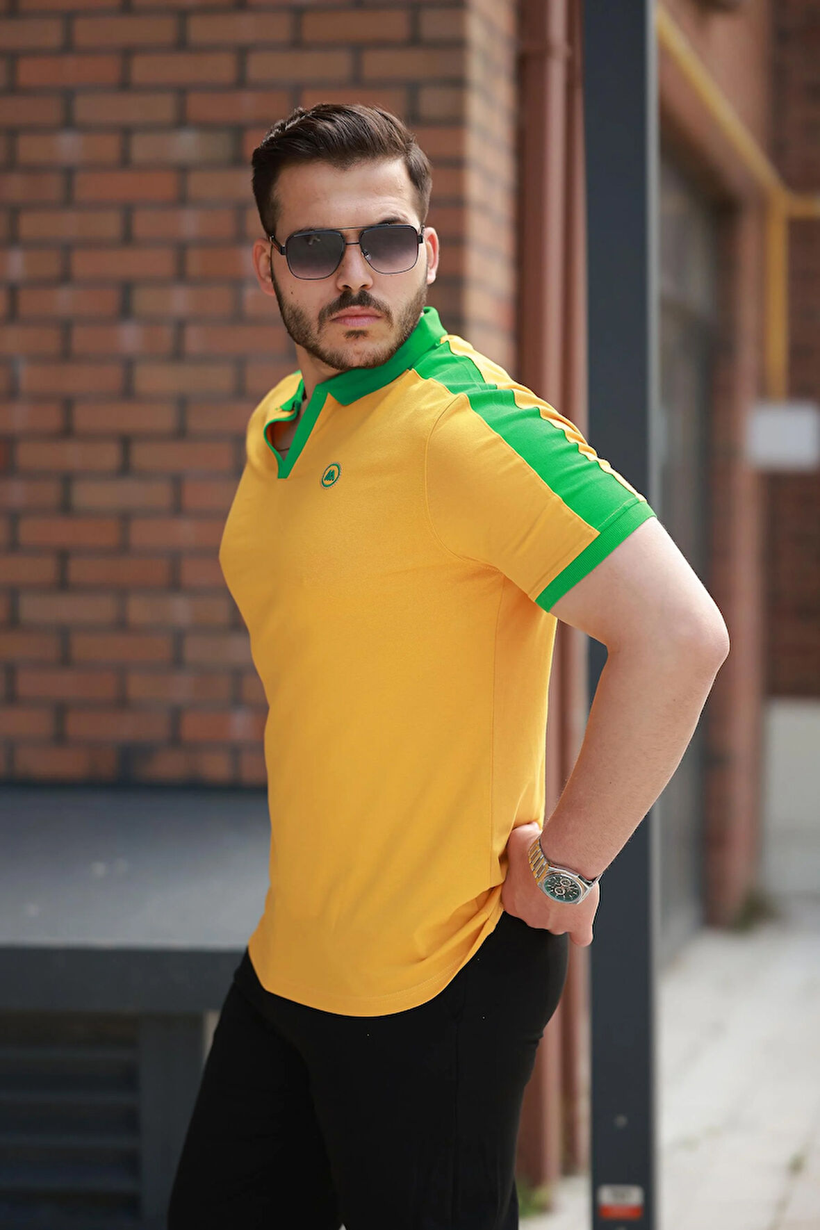 Miron Hardal Nakışlı V Polo Yaka Kısa Kollu Tişört-2524