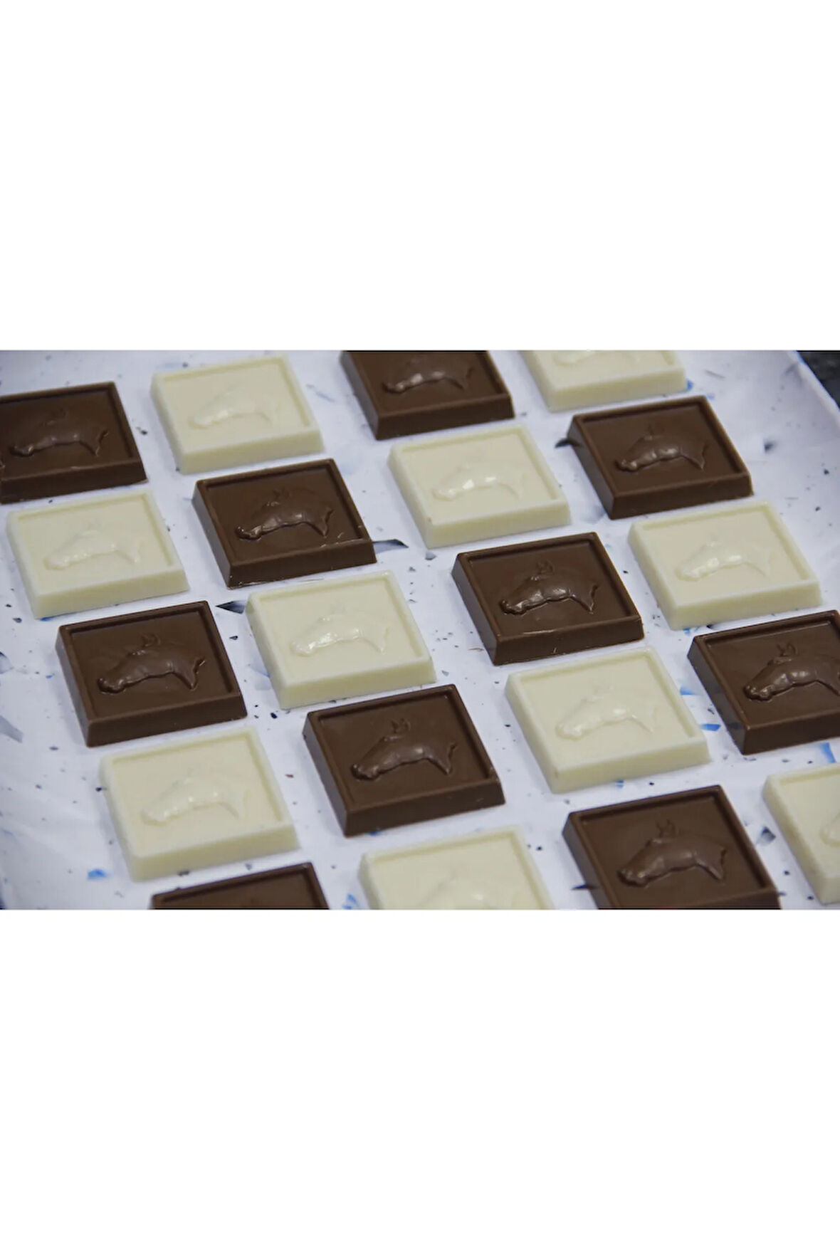 Atlı Madlen Spesiyal Sütlü Çikolatalı Hediyelik Çikolata (250 gr)