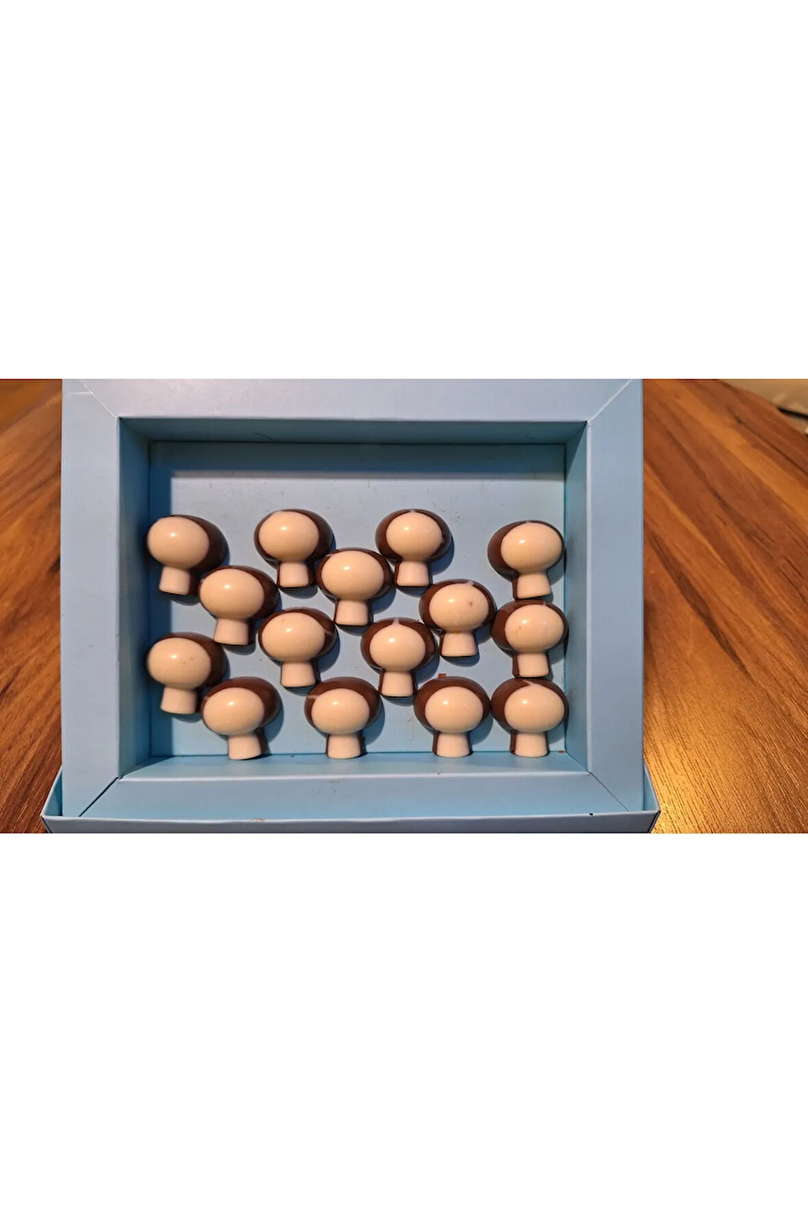 Mantar Spesiyal Hediyelik Çikolata (250 gr)