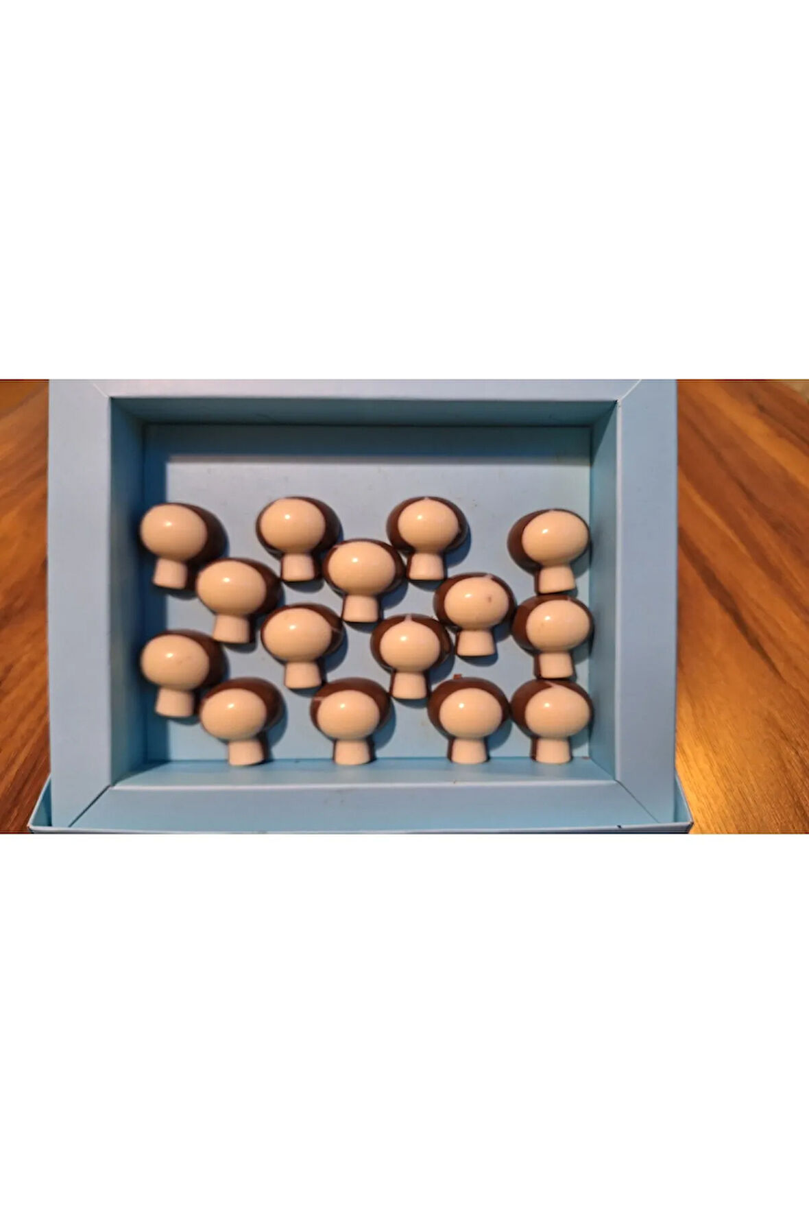 Mantar Spesiyal Hediyelik Çikolata (1 kg)