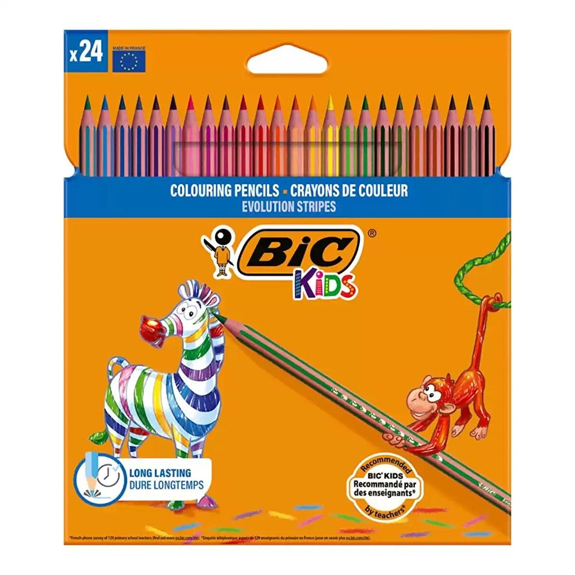 BIC Evolution Stripes Kuru Boya Kalemi 24'lü