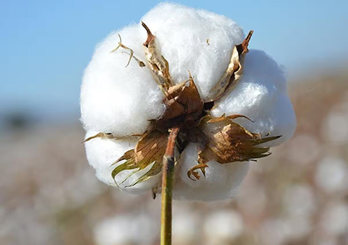 Babaanne Yorganı, El Yapımı Bebek Pamuklu Yorgan (95x145)