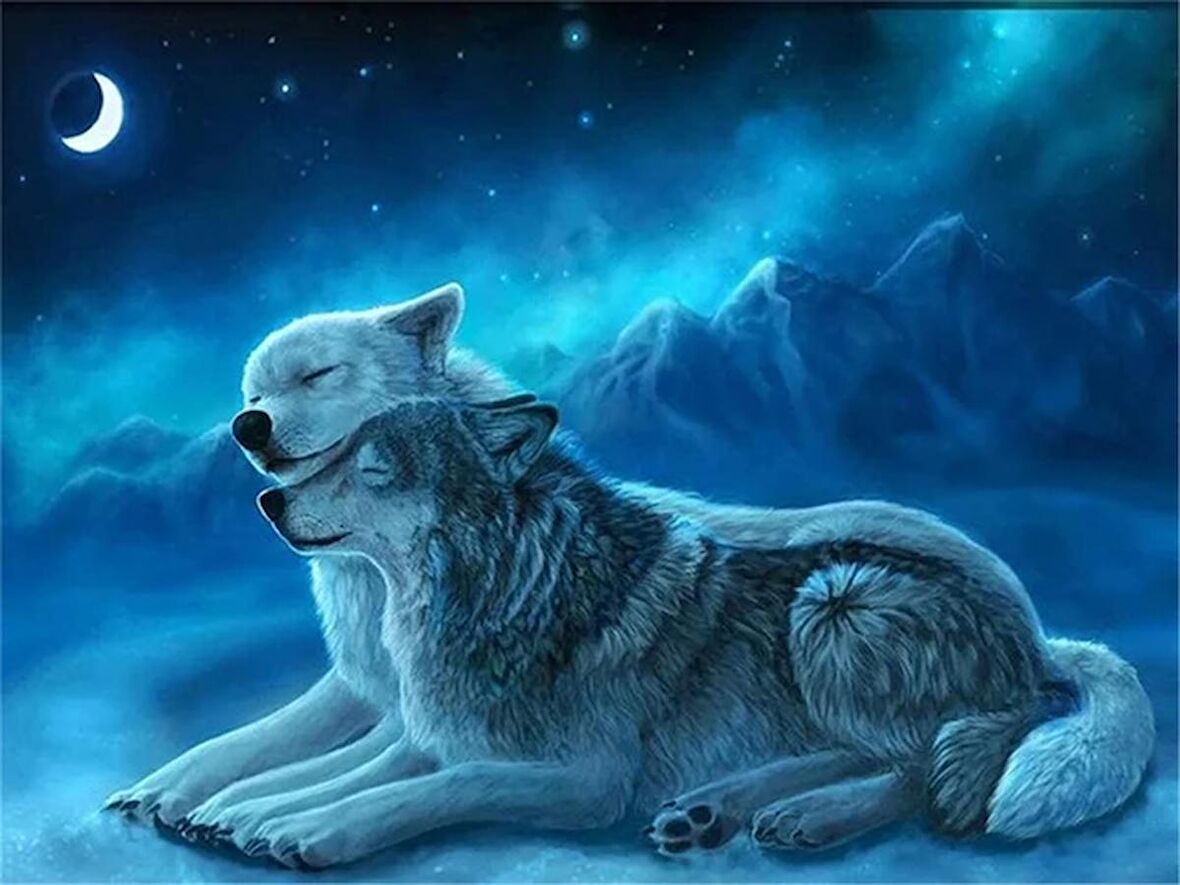 Movas Sanat  Sanatsal Kurt Portresi / Mozaik Puzzle 50X40cm-E20234173