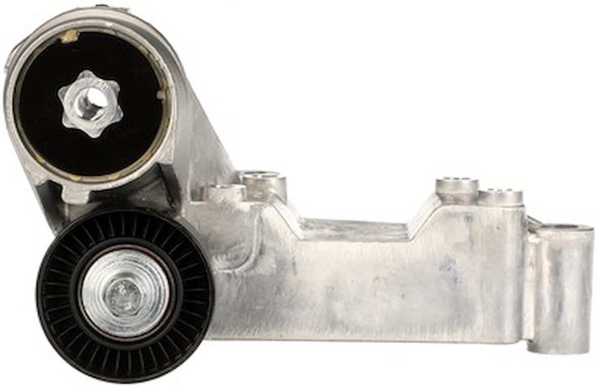 Cautex Alternatör Gergi Rulmanı Kütüklü Focus 1 Tourneo / Transit Connect 1,8 Tdci 1069359