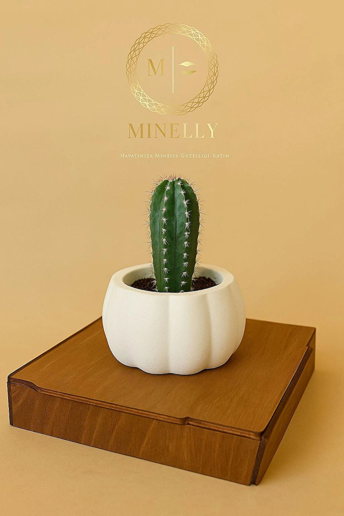 Minelly Pumpkin Touch Saksı