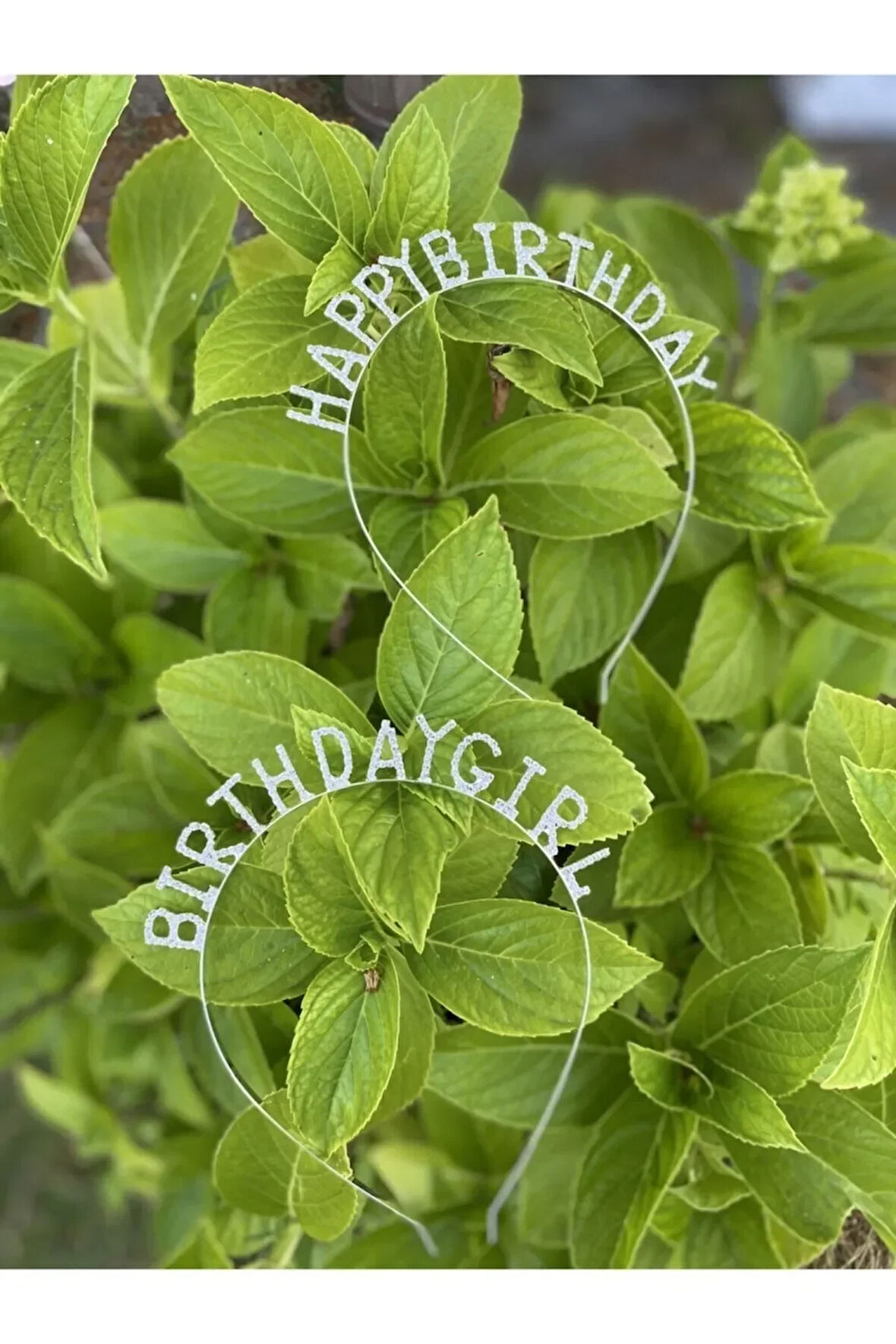 Bırthday Gırl Doğum Günü Tacı