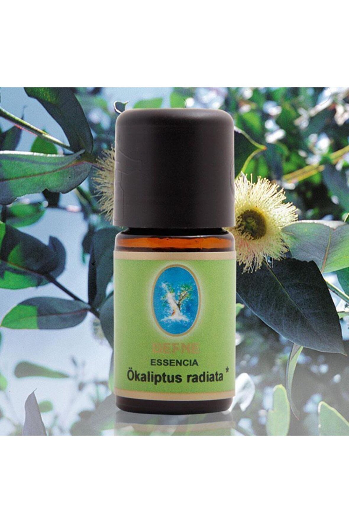 Defne Ökaliptus Radiata (organik) 5 ml Uçucu Yağ