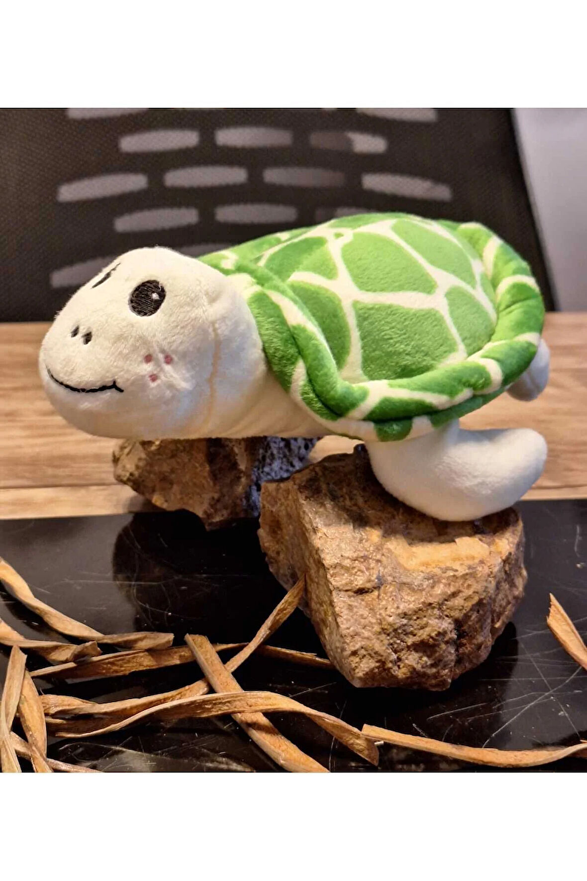 Caretta caretta Kaplumbağa Küçük