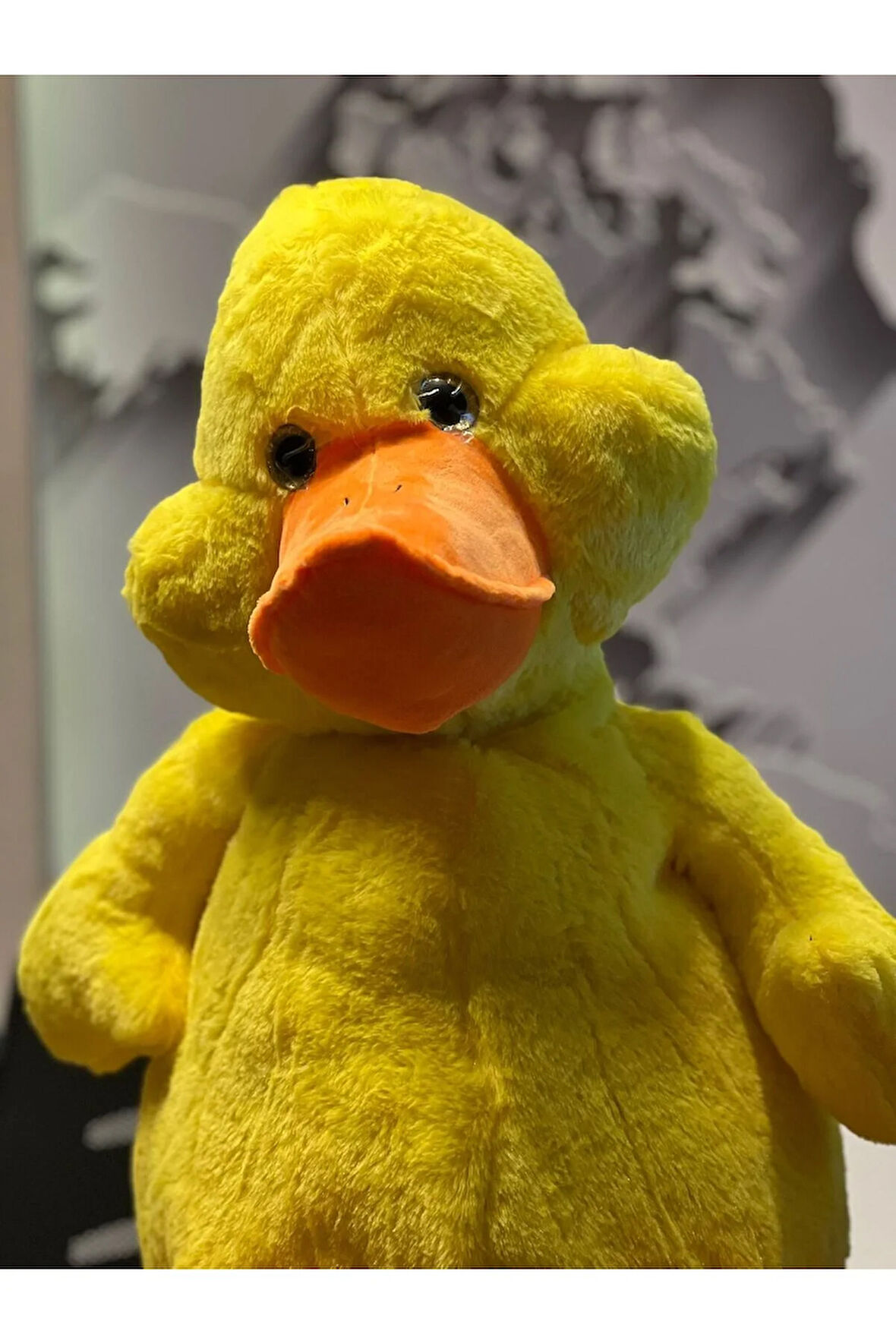 Çok tatlımı tatlı ördek 60cm