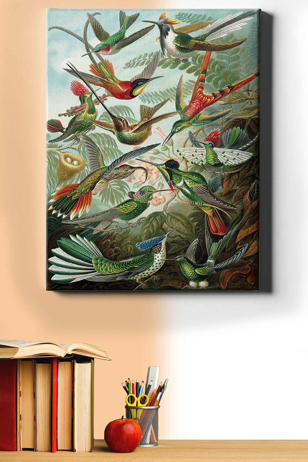 Sayılarla Boyama Seti Kasnaklı Kuşlar 50 X 65 Cm