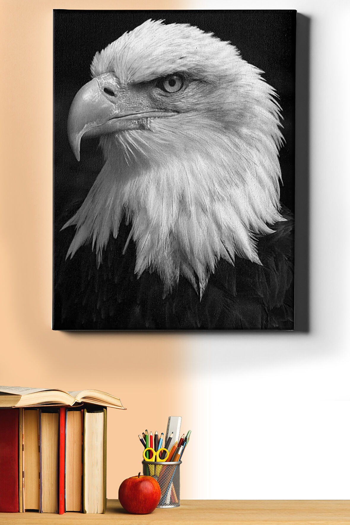 Sayılarla Boyama Seti Kasnaklı Beyaz Kartal 60 X 75 Cm