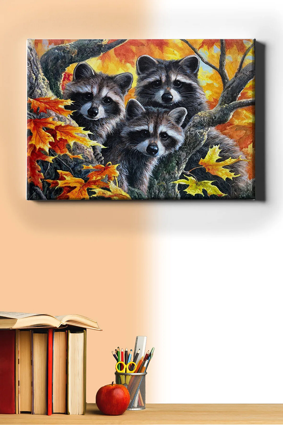 Sayılarla Boyama Seti Kasnaklı Rakunlar 40 X 50 Cm