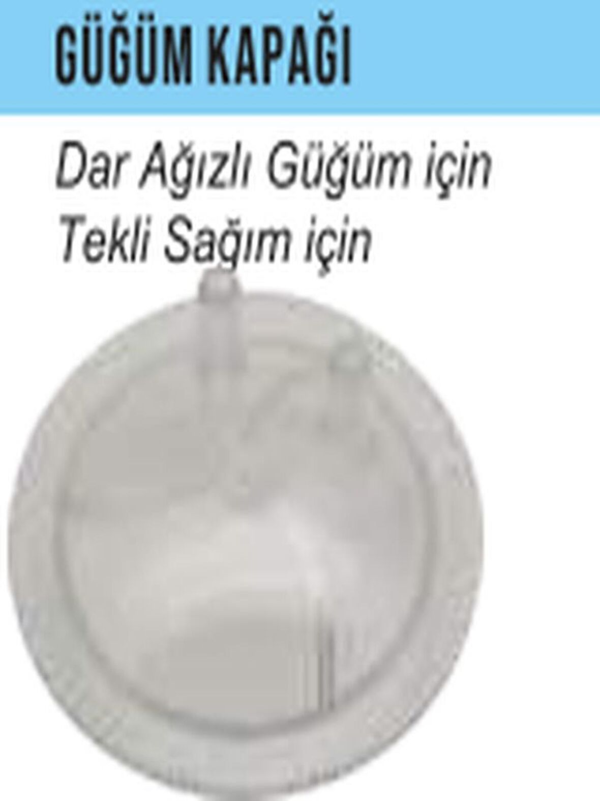 GÜĞÜM KAPAĞI DAR AĞIZLI