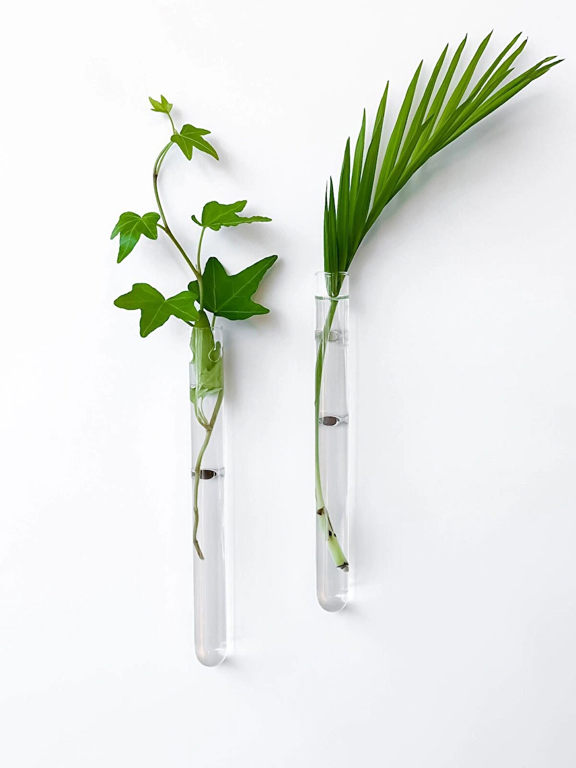 Mıknatıslı Dekoratif Cam Vazo Bitki Köklendirme İçin Minimal Buzdolabı Mini Vazo Saksı 2'li 16 Cm