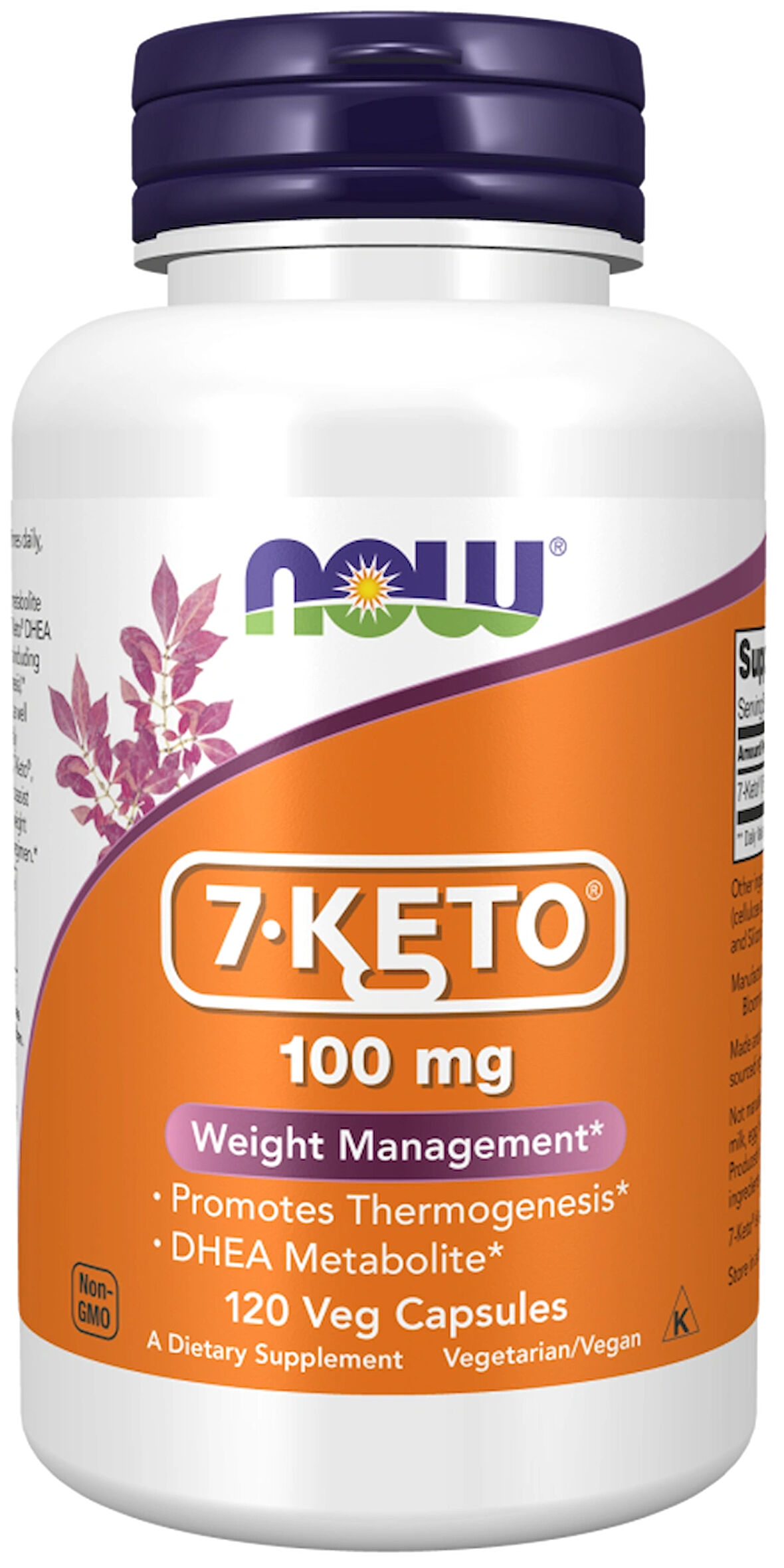 Now 7-Keto 100 mg 120 Kapsül