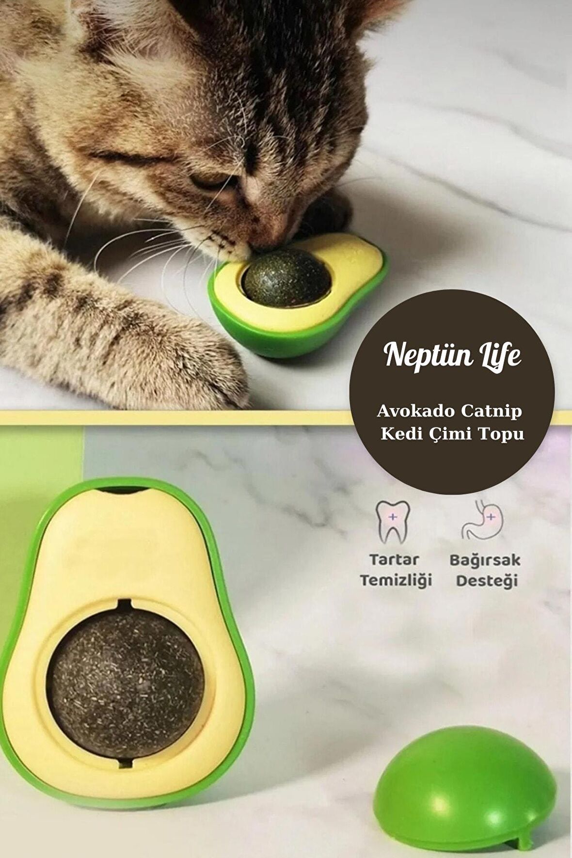 Avokado Catnip Avokado Kedi Çimi Topu Avokado Kedi Nanesi Oyuncağı