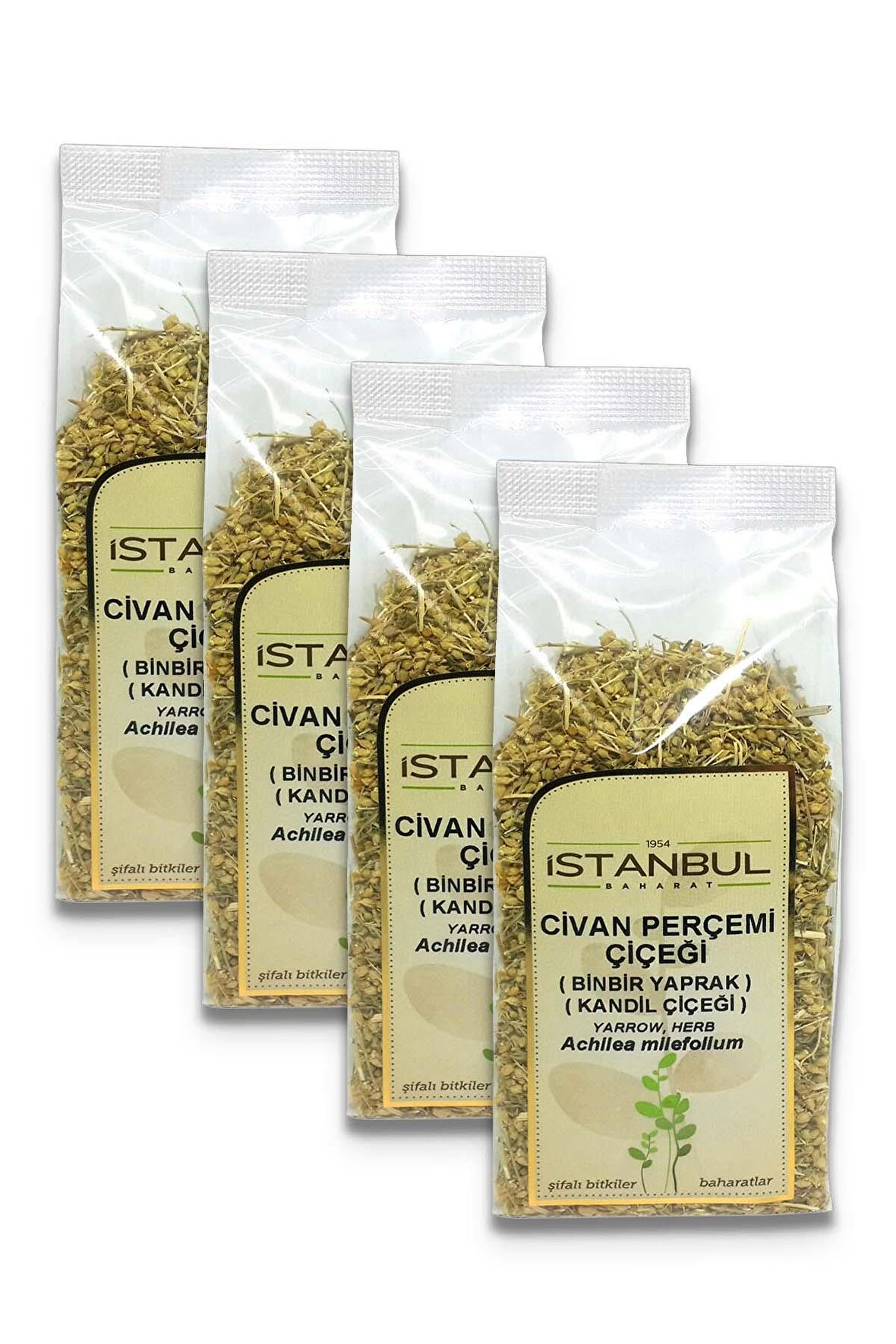 Civan Perçemi (Kandil Çiçeği) 4x50 gr