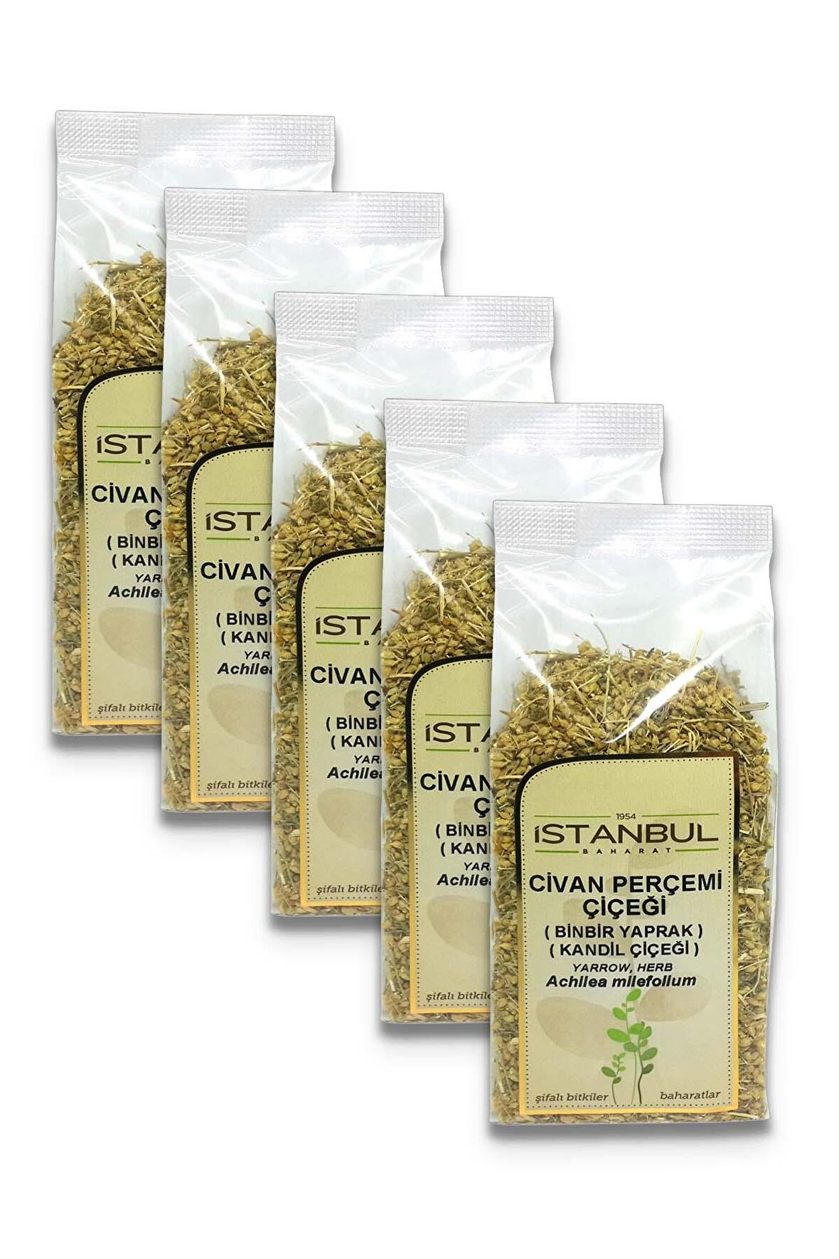 Civan Perçemi (Kandil Çiçeği) 5x50 gr