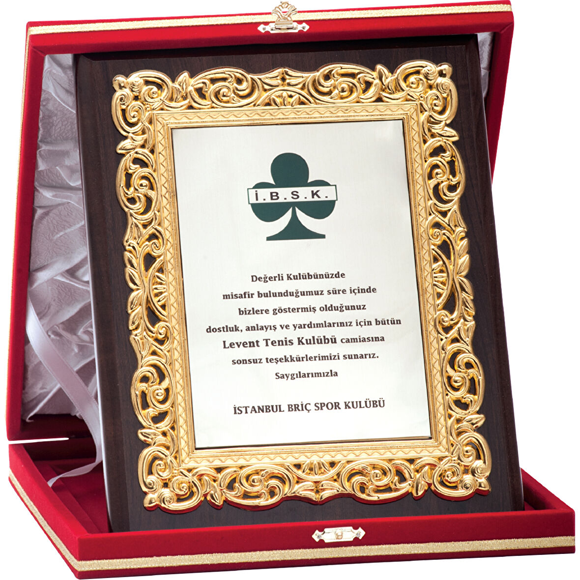 ODAK KUPA - Özel Plaketler - LX-006 A - 20x25 cm