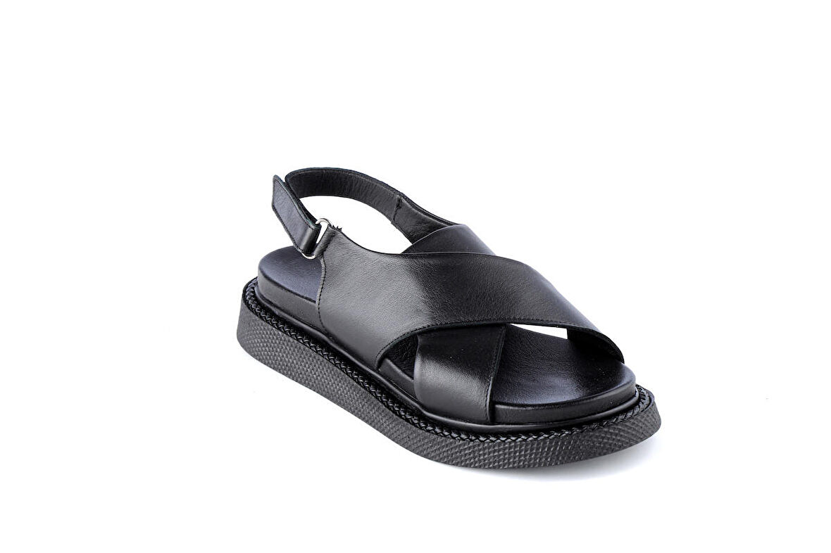 Dexter OFL1073-311-1