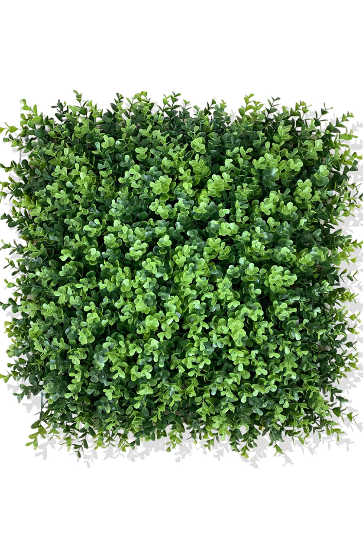 YAPAY OKALİPTUS DOLGUN BİTKİ DUVAR KAPLAMA 50X50 CM YEŞİL