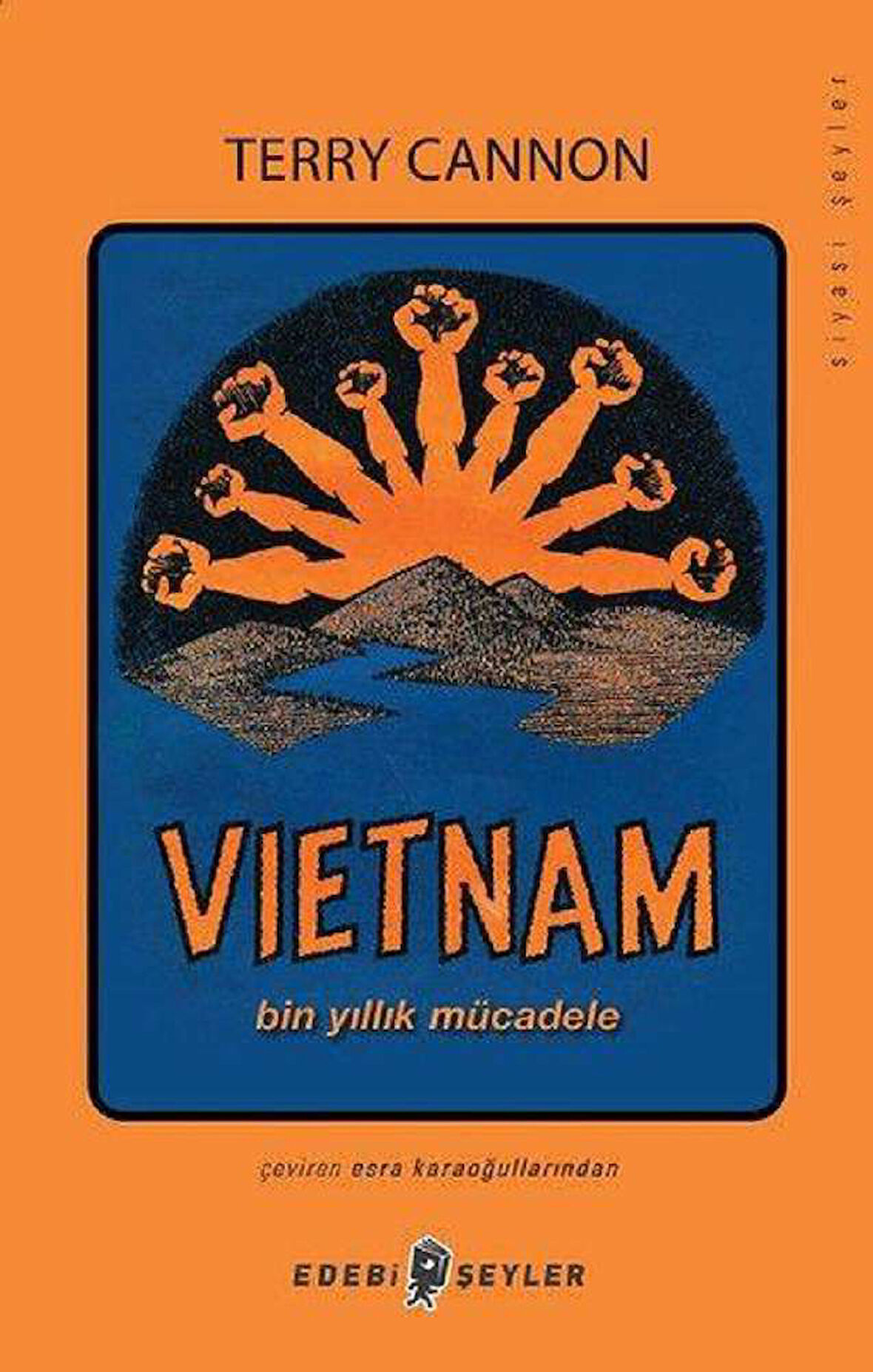 Vietnam-Bin Yıllık Mücadele