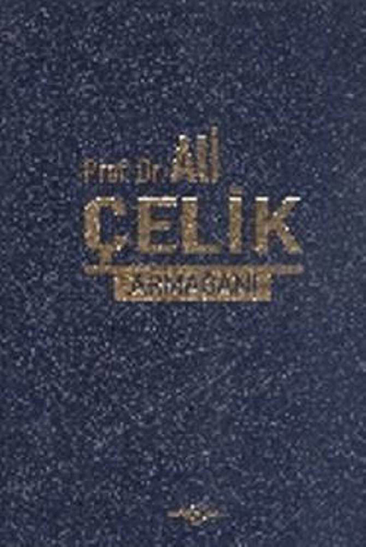 Prof. Dr. Ali Çelik Armağanı