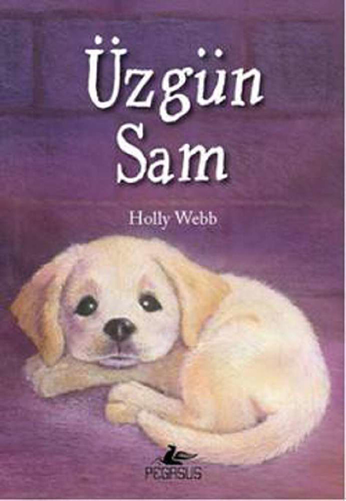 Üzgün Sam