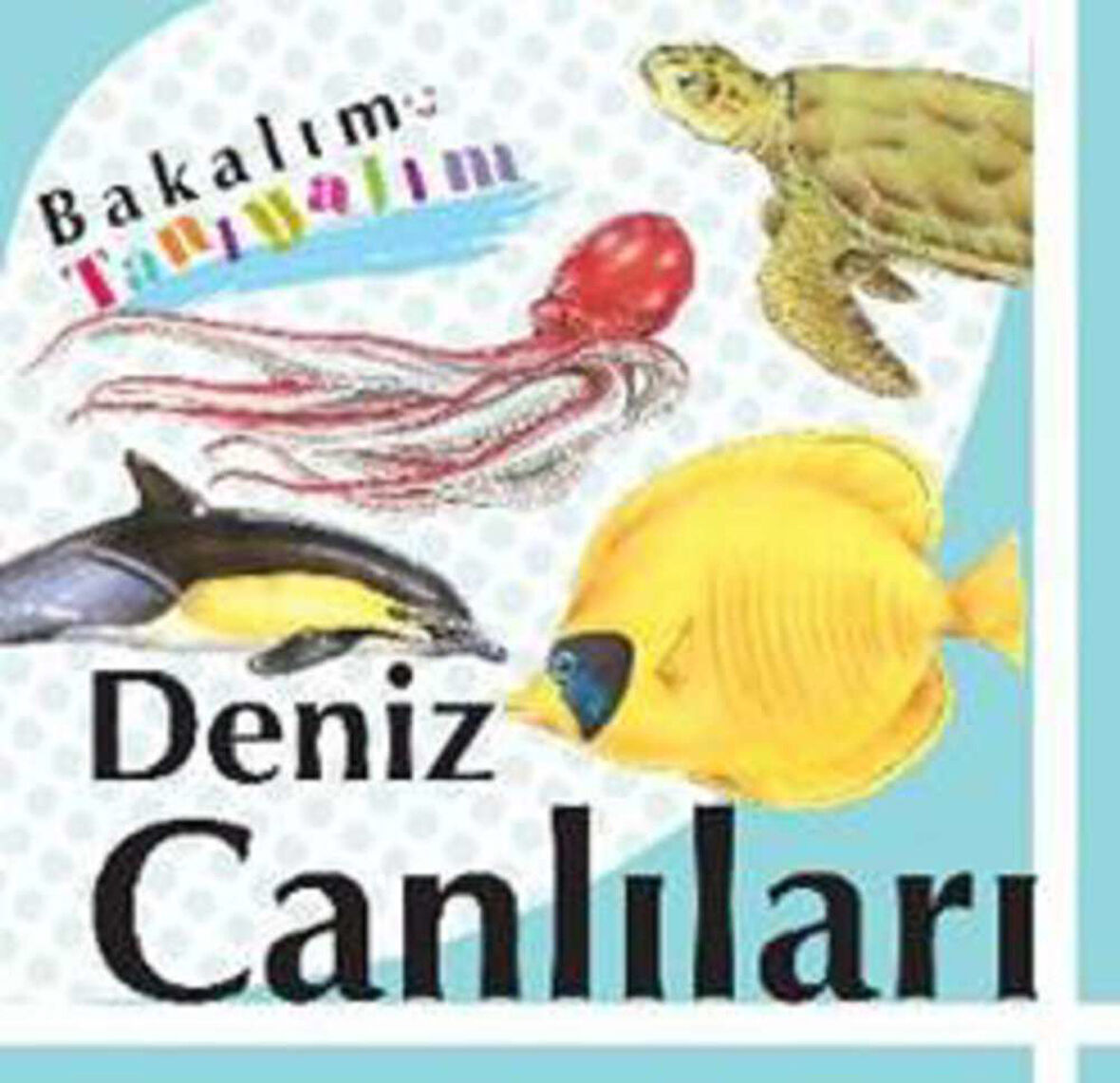Bakalım Tanıyalım: Deniz Canlıları