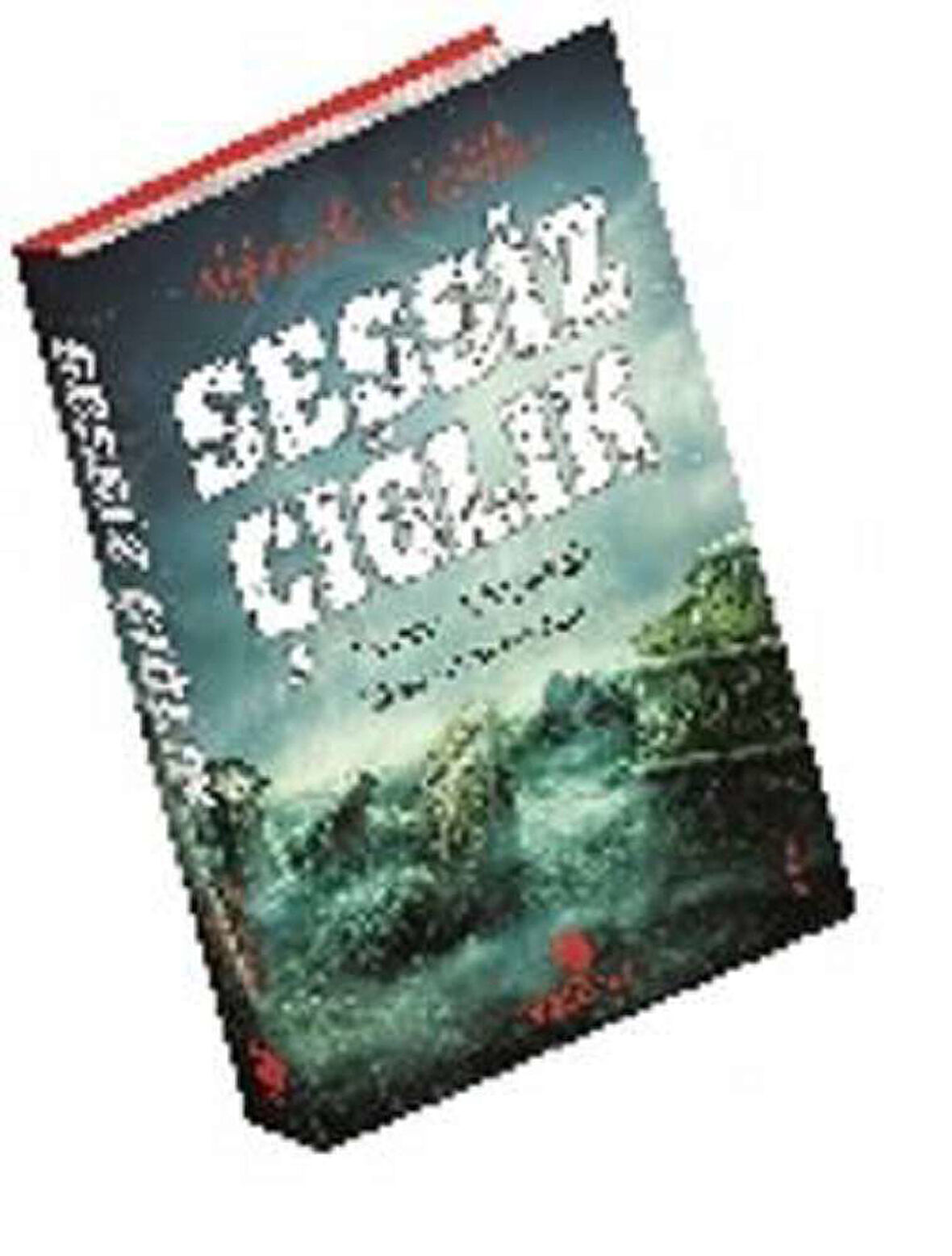 Sessiz Çığlık