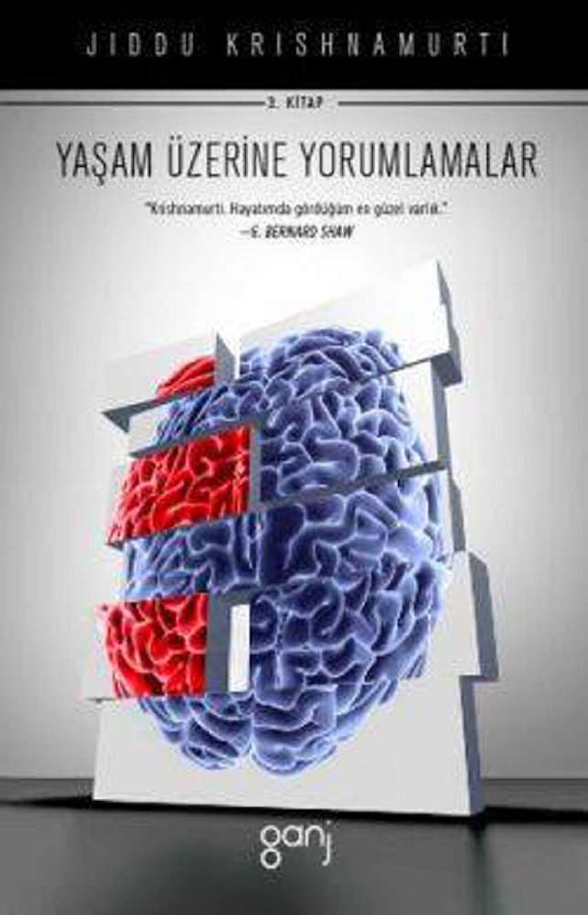 Yaşam Üzerine Yorumlamalar 3. Cilt