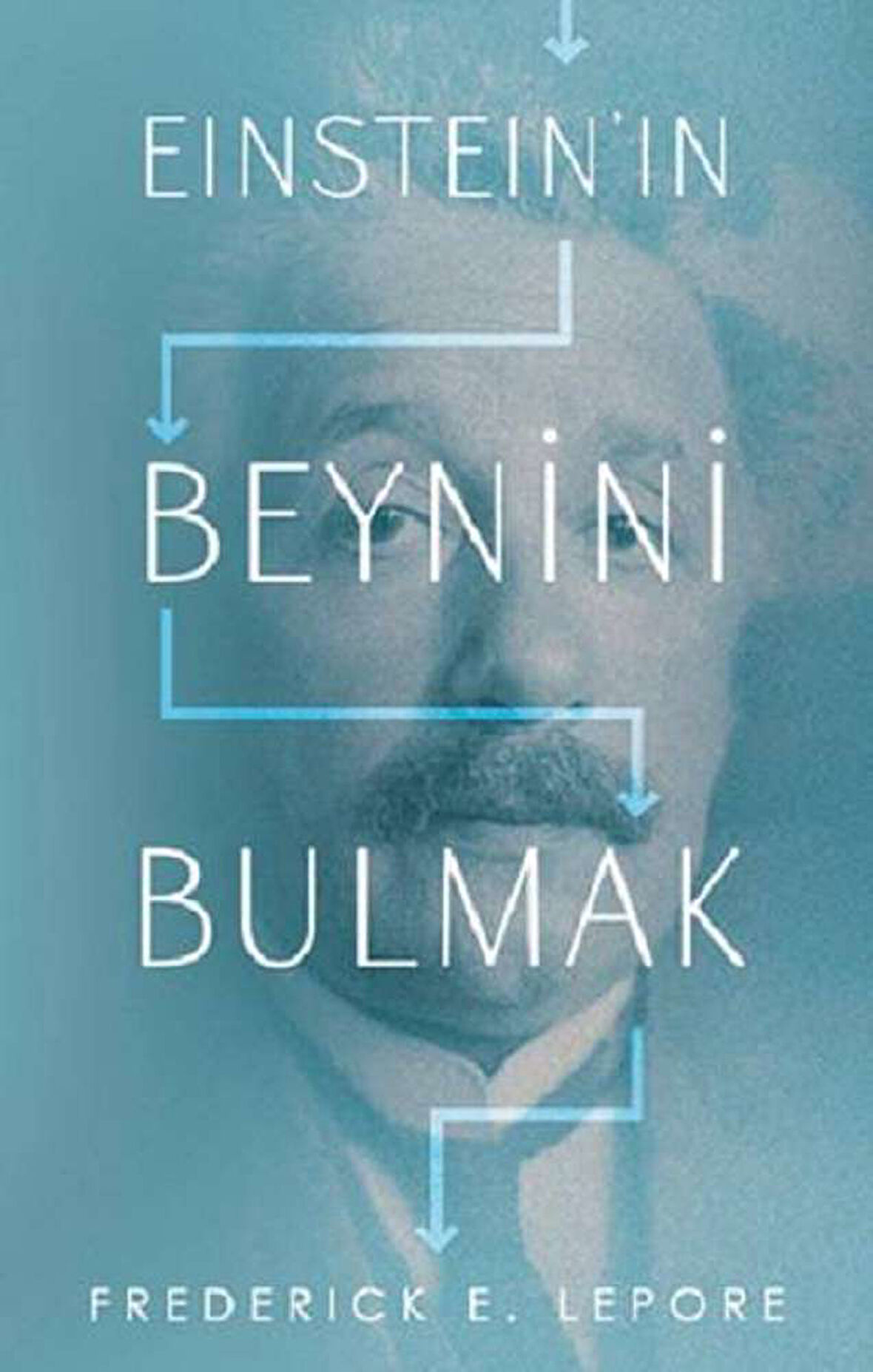 Einstein'in Beynini Bulmak