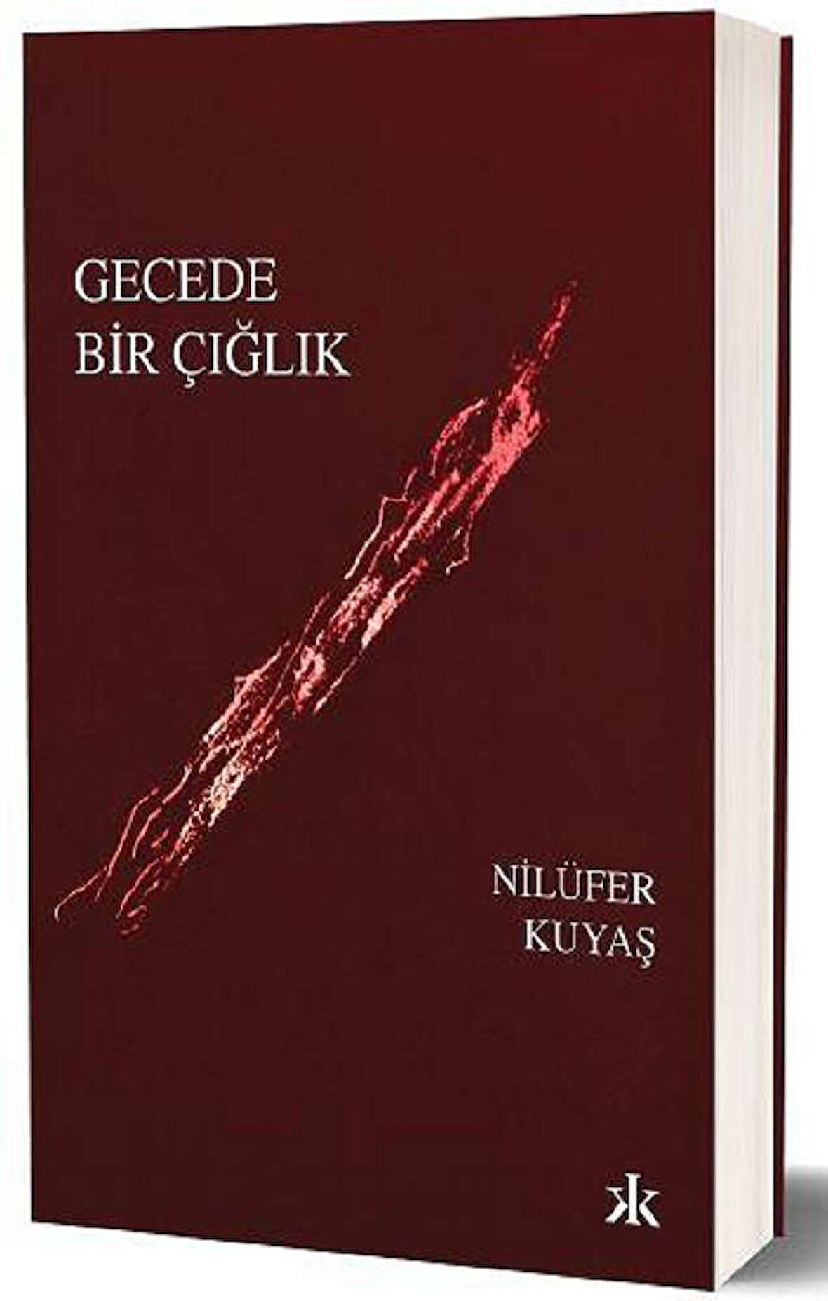 Gecede Bir Çığlık