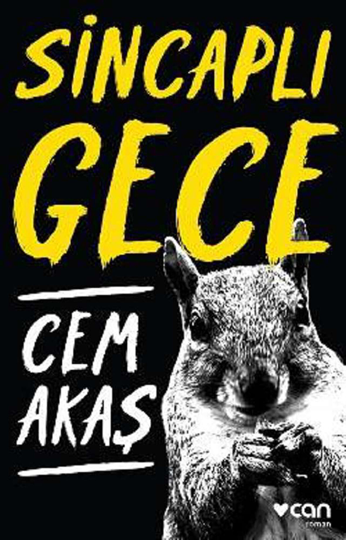 Sincaplı Gece