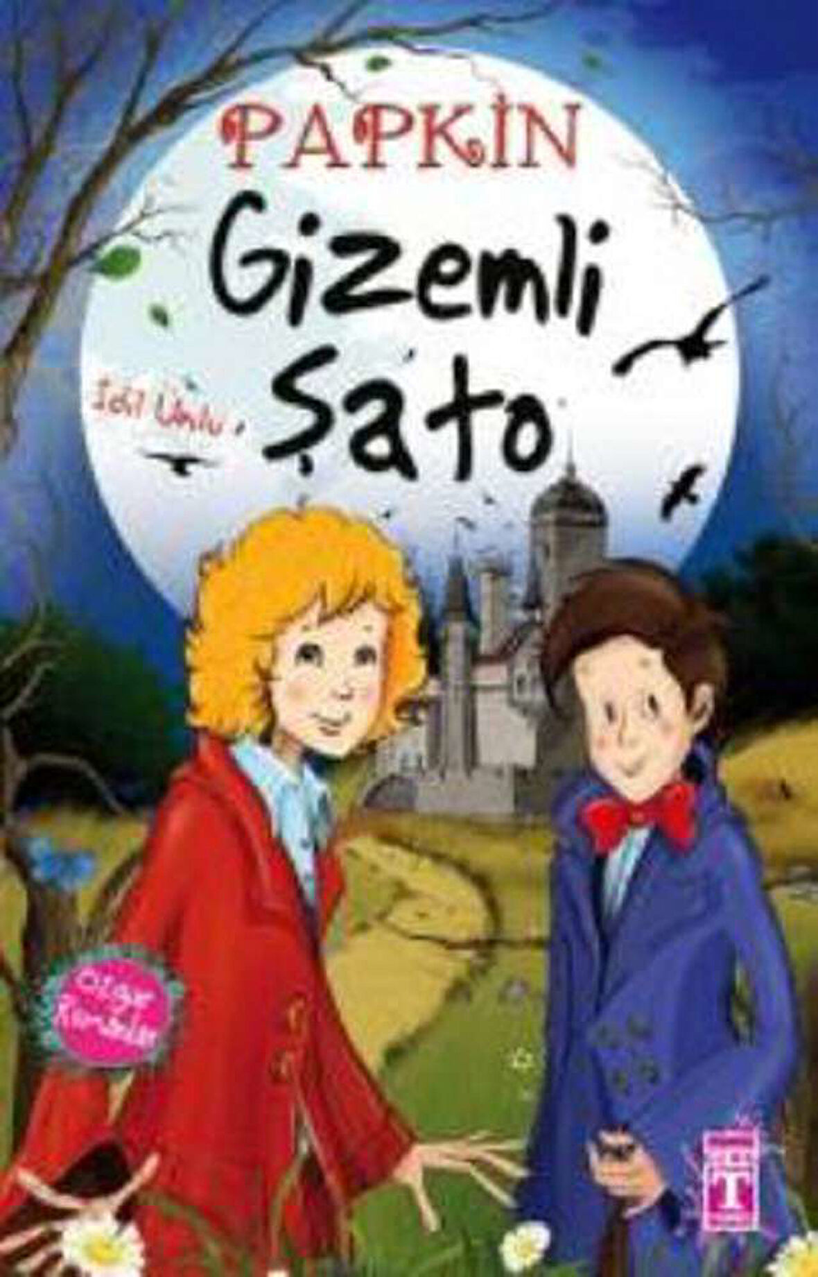 Papkin Gizemli Şato