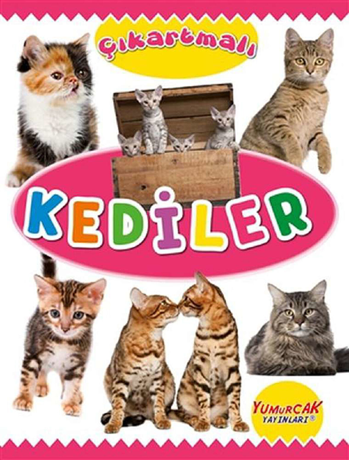 Çıkartmalı Kediler