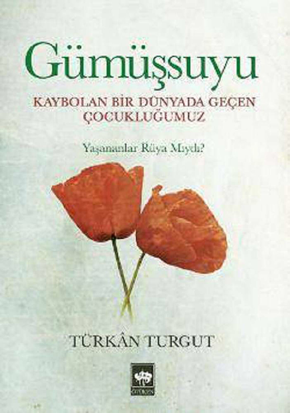 Gümüşsuyu