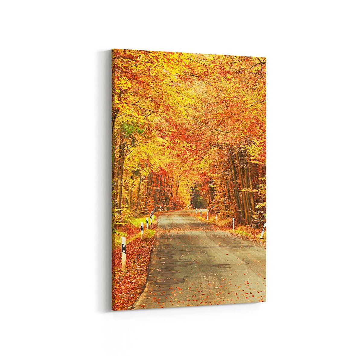 Olla 13597D Doğa / Manzara Görseli Dikey Kanvas Tablo (Ölçü: 80X120)