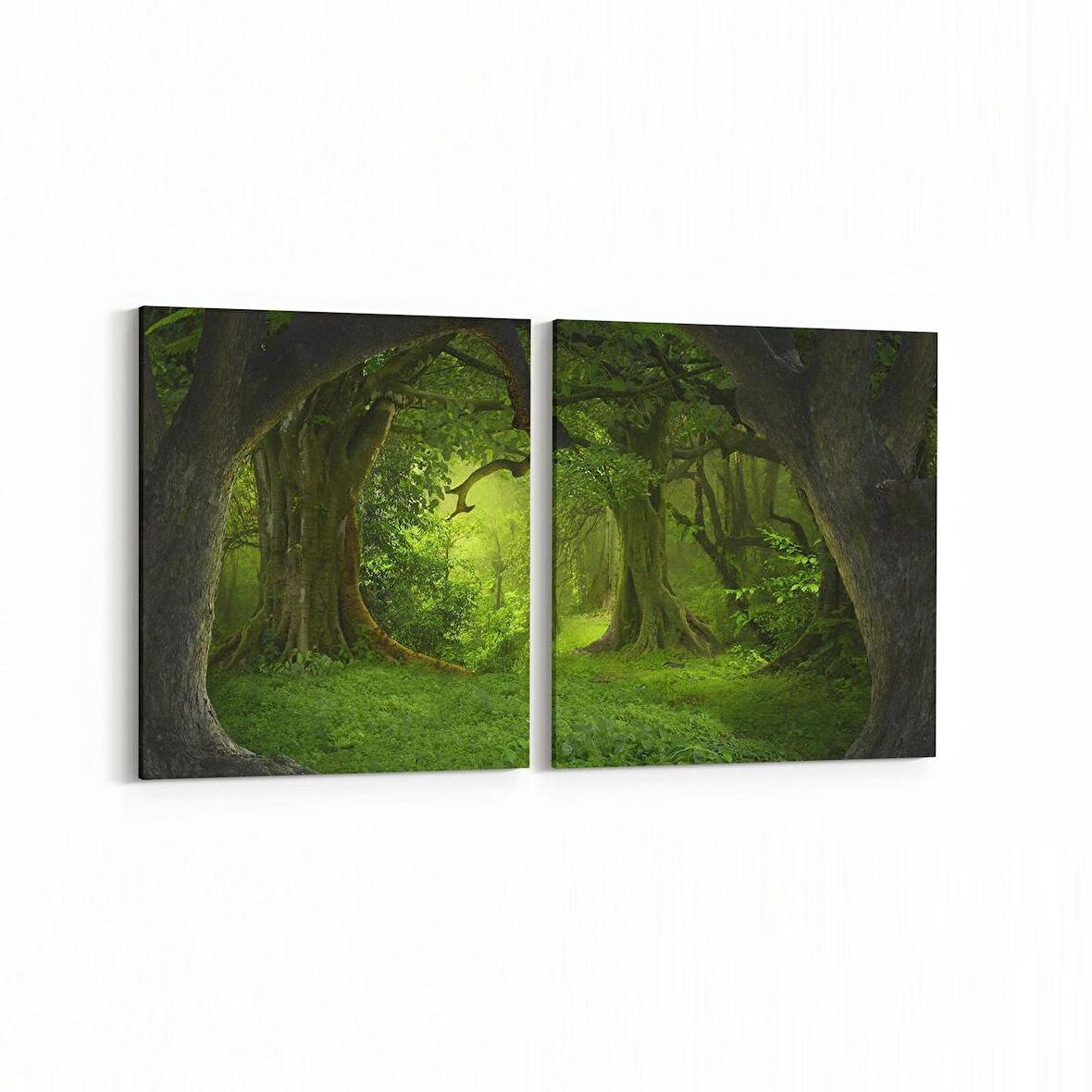 Olla 14120K2Y Doğa / Manzara Görseli Kare 2'li Yatay Kanvas Tablo (Ölçü: 85X40)