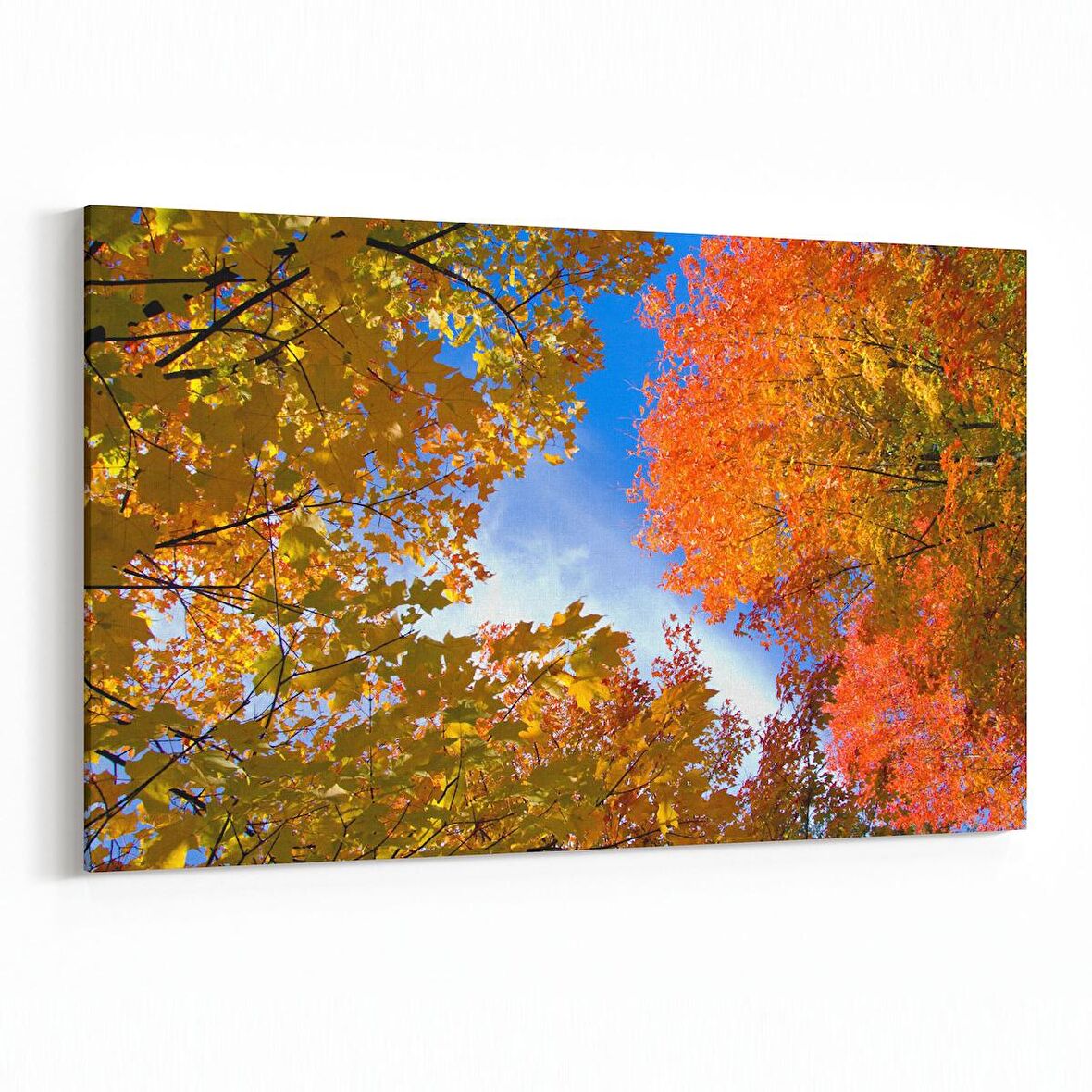 Olla 10664Y Ağaç Görseli Yatay Kanvas Tablo (Ölçü: 90X60)